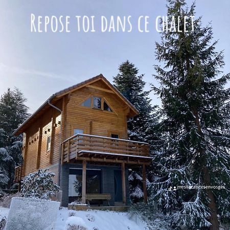 Chalet Chaleureux Avec Cheminee Et Vue Montagne Proche Gerardmer "Mon Beau Sapin" Villa Anould Exterior photo