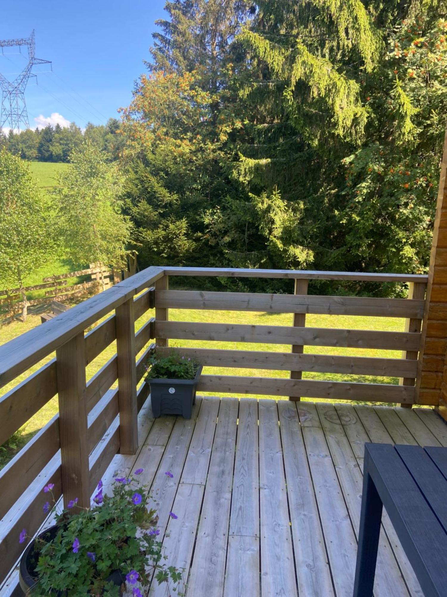 Chalet Authentique Au Calme, En Lisiere De Foret, Montagne, Sentiers 15Mn Gerardmer & Alsace "Chalet Mon Beau Sapin" Anould Exterior photo