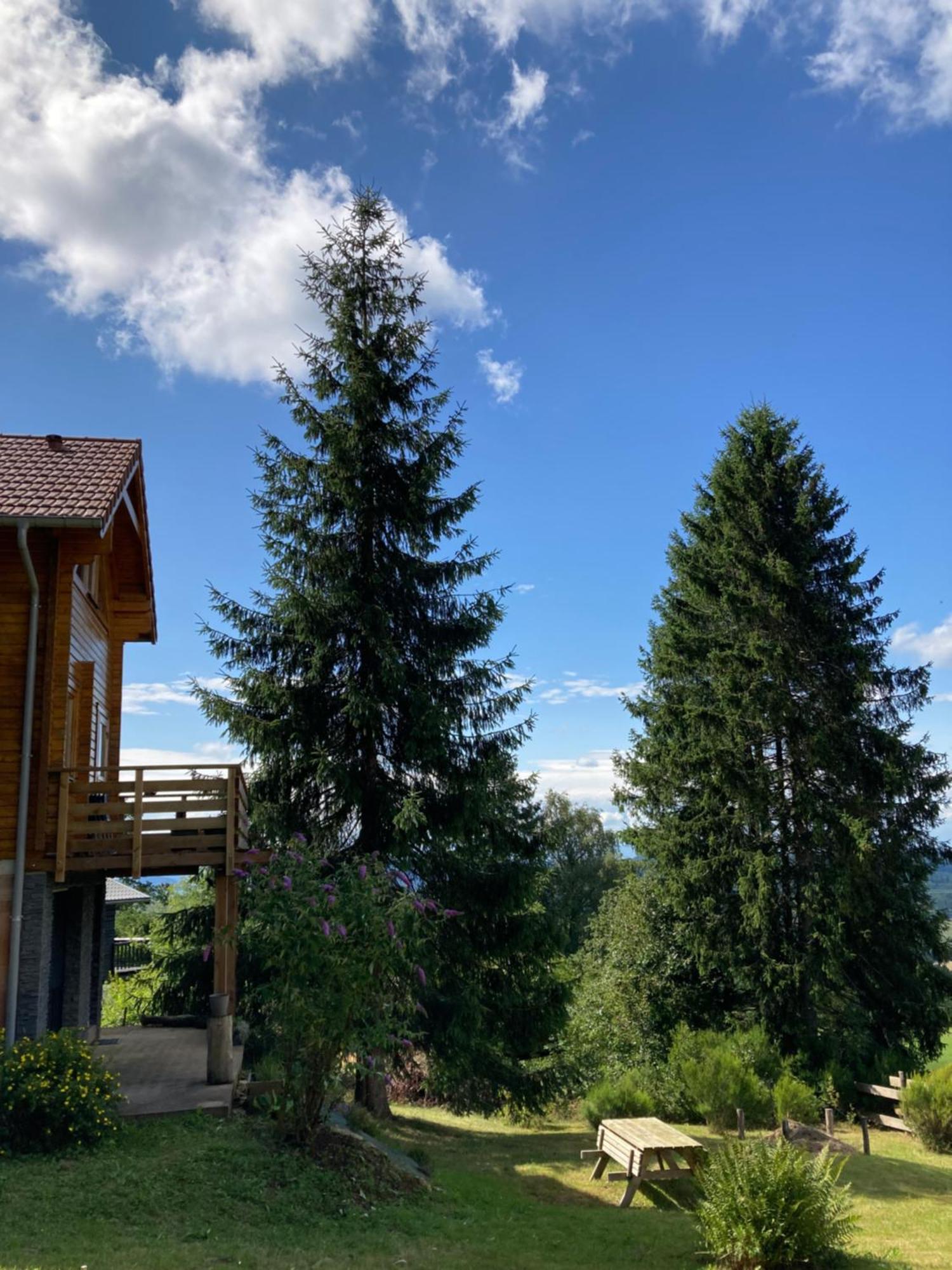 Chalet Chaleureux Avec Cheminee Et Vue Montagne Proche Gerardmer "Mon Beau Sapin" Villa Anould Exterior photo