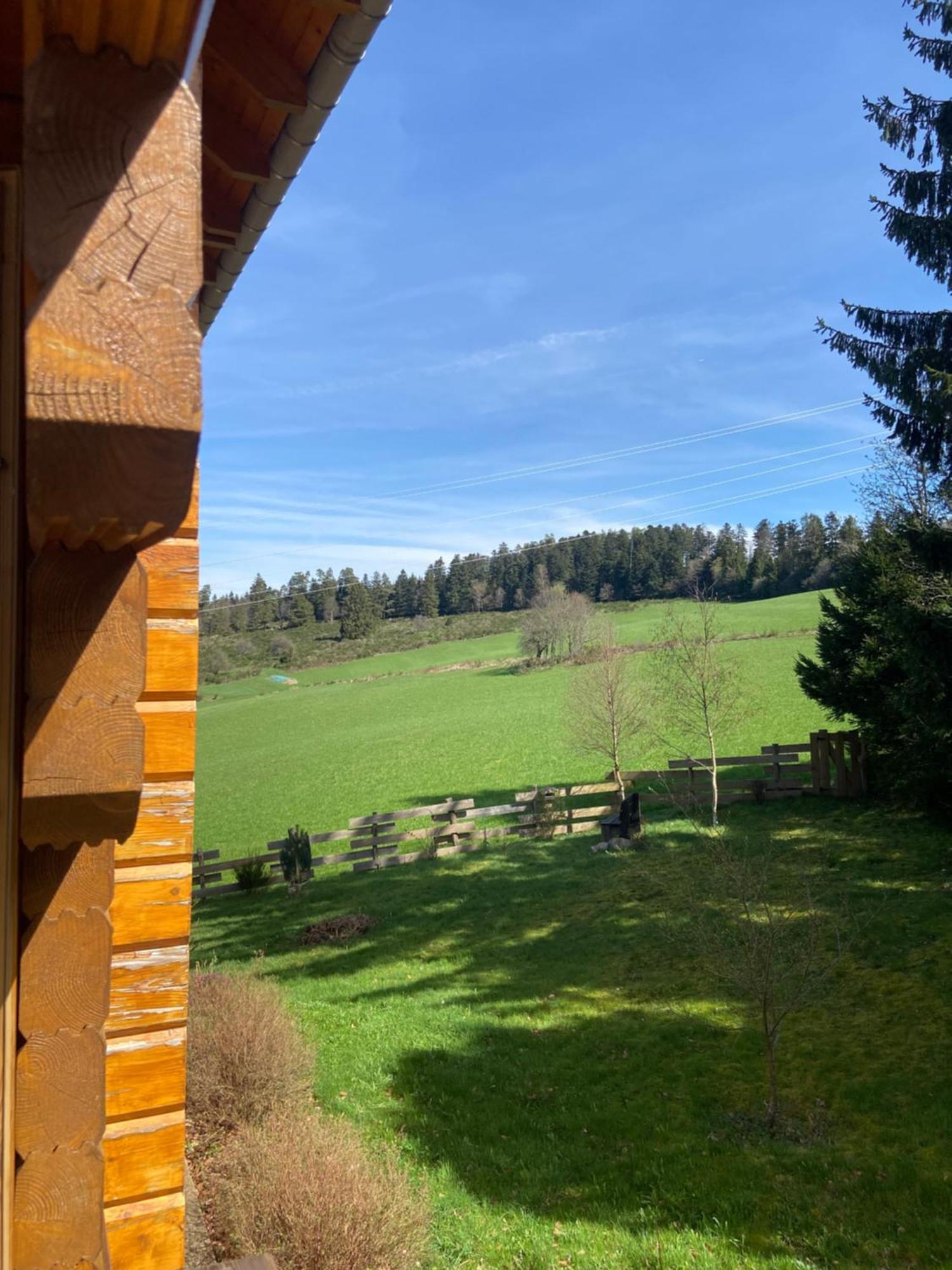 Chalet Chaleureux Avec Cheminee Et Vue Montagne Proche Gerardmer "Mon Beau Sapin" Villa Anould Exterior photo